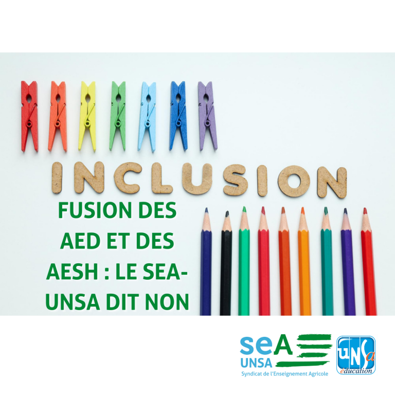 FUSION DES AED ET DES AESH LE SEA UNSA DIT NON A UNE NOUVELLE FORME