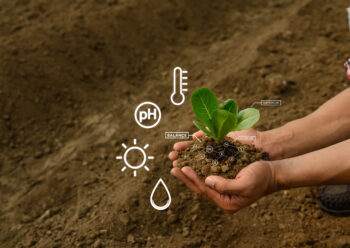 agriculture-analyse-sante-sol