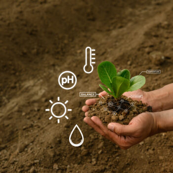 agriculture-analyse-sante-sol