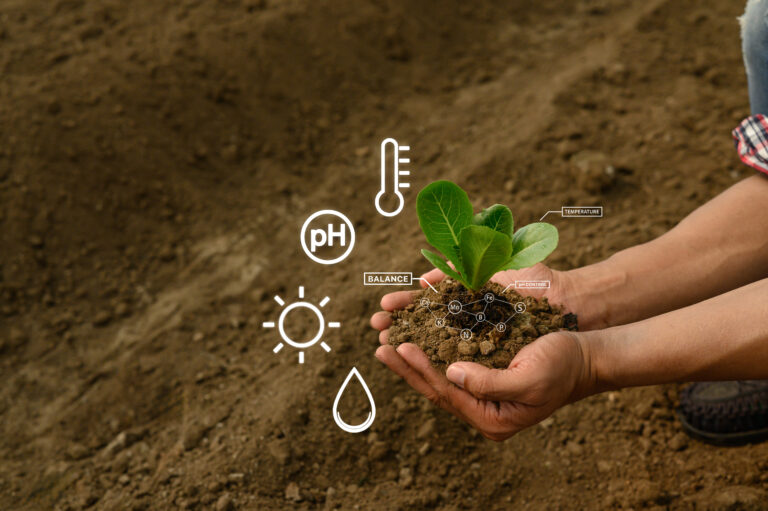 agriculture-analyse-sante-sol
